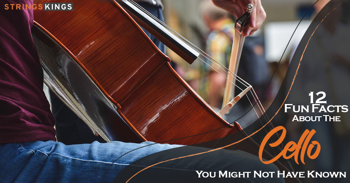12 Fun Facts About The Cello You Might Not Have Known