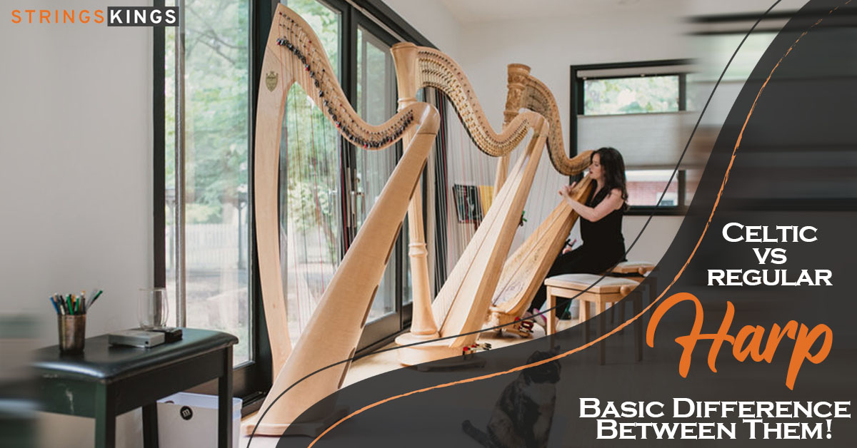 Celtic Harp vs Regular Harp? Basic Difference Between Them!