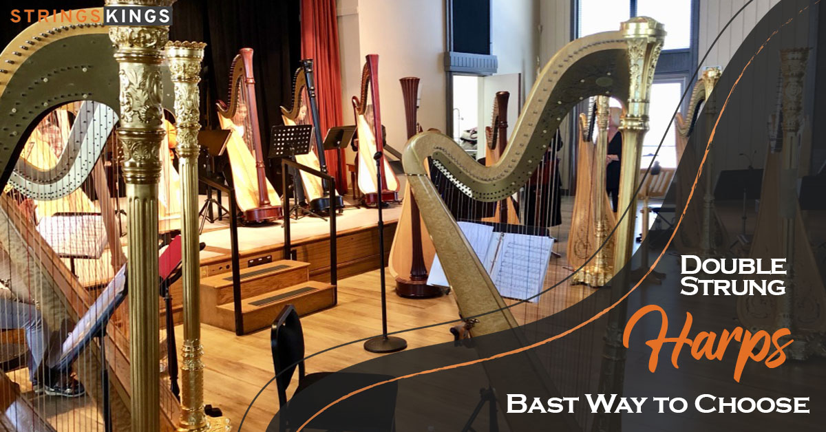 Double Strung Harps - Bast Way to Choose 2022 Guide