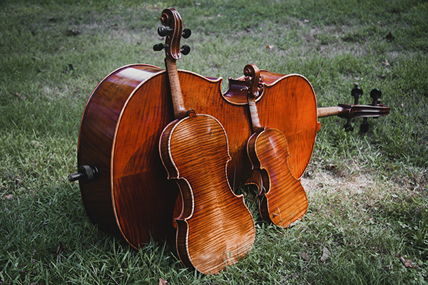 cello and violin outside