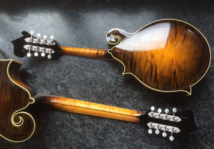 back side of mandolins