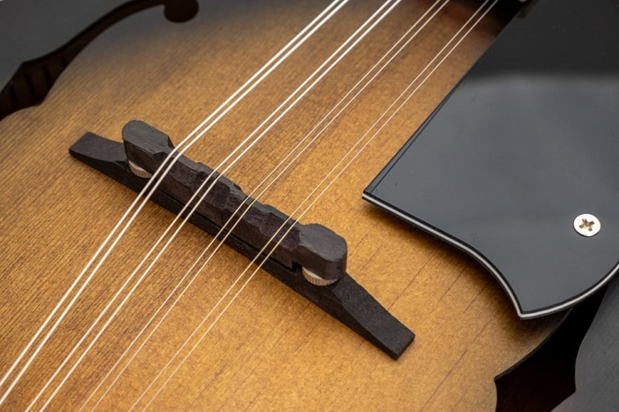 The 7 Best Mandolin Strings Top Models + Buyers Guide!