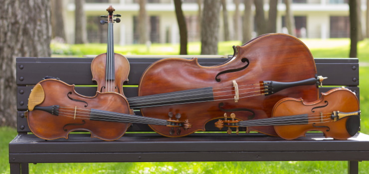 beautiful string instruments