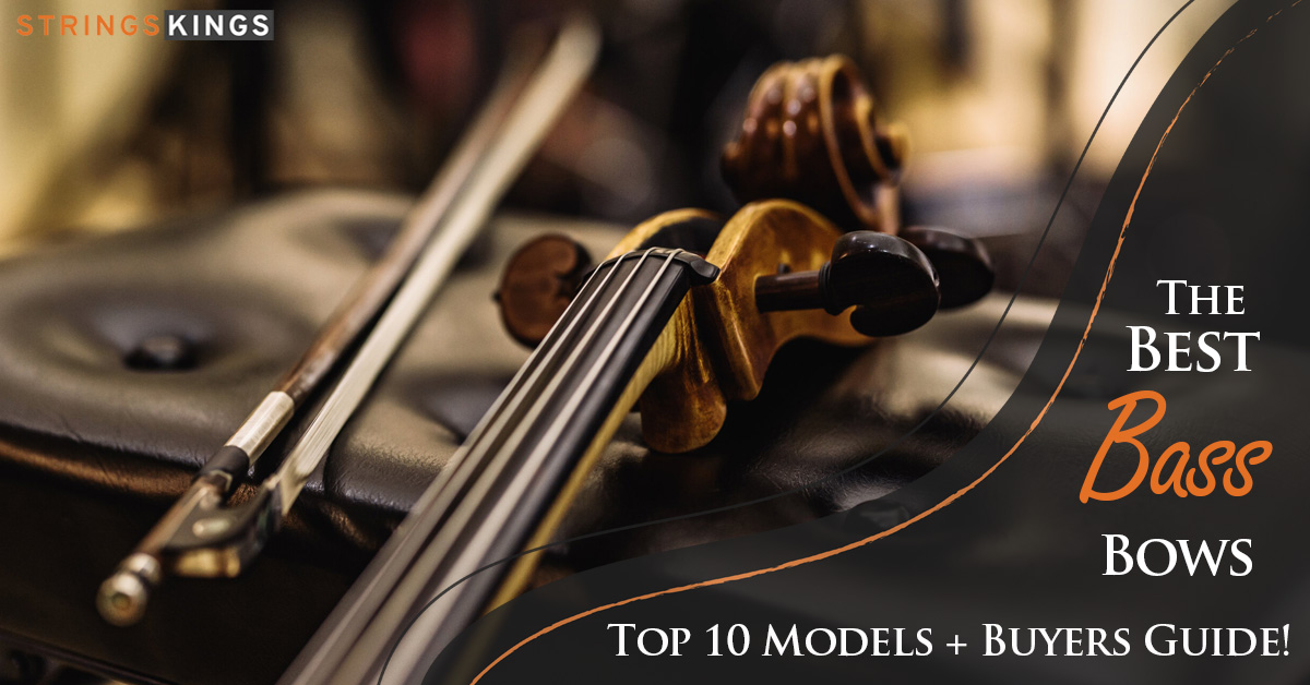 20 Best Violas for Beginners – 2022 Guide