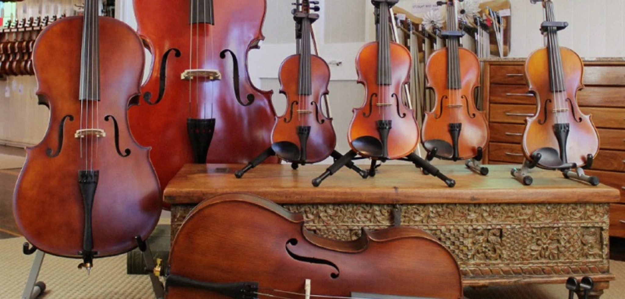 Best Way to Learn The Differences Between Violin Viola Cello And Bass