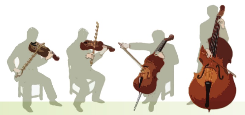 the differences between violin viola cello and bass possitions