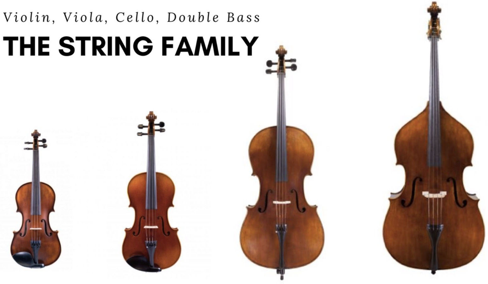 the differences between violin viola cello and bass