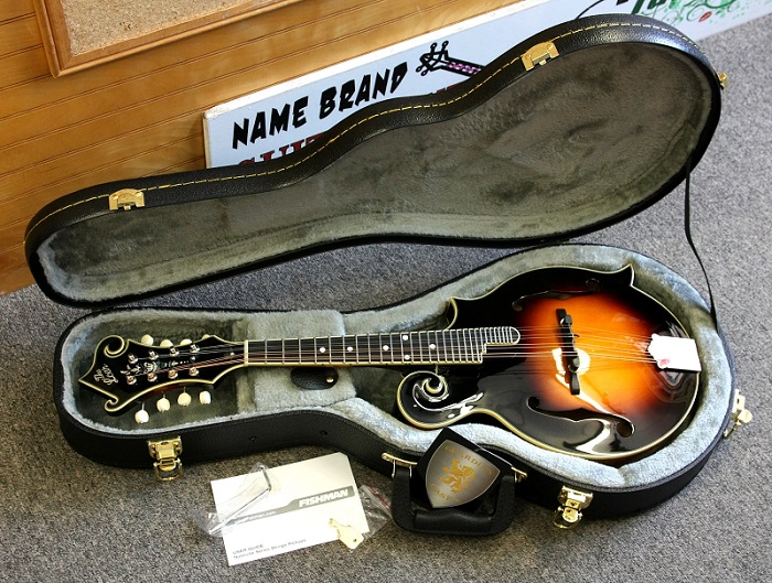 a mandolin lying in her case 