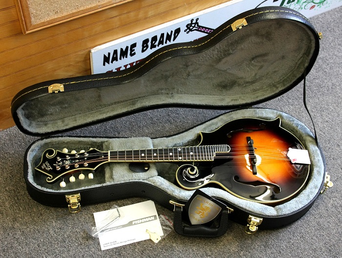 a mandolin lying in her case