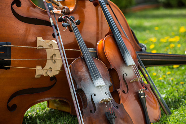 string instruments posing - violin vs cello