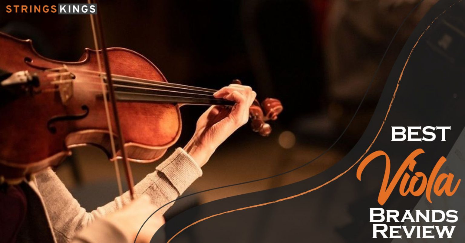 Best Viola Brands Review 2023 Strings Kings