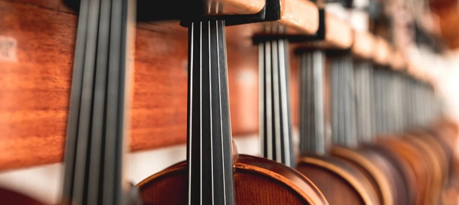 20 Best Violas for Beginners 2023 Guide Strings Kings