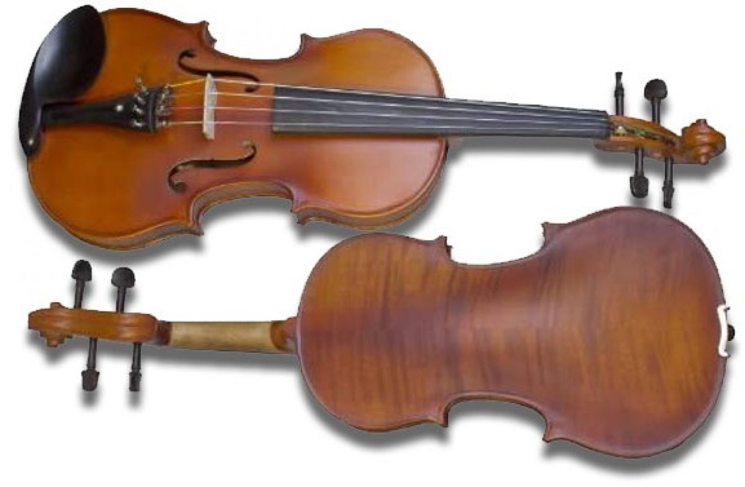 Cecilio CVA-500 15.5-Inch Ebony Fitted Solid Wood Viola
