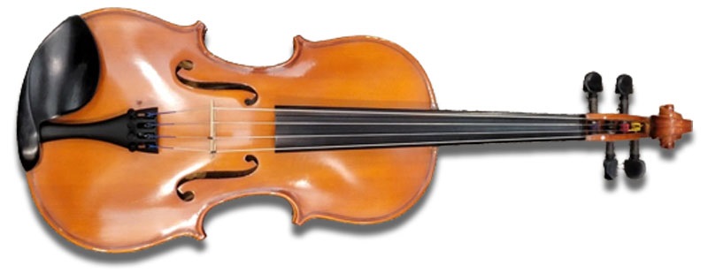 D Z Strad Viola Model 101