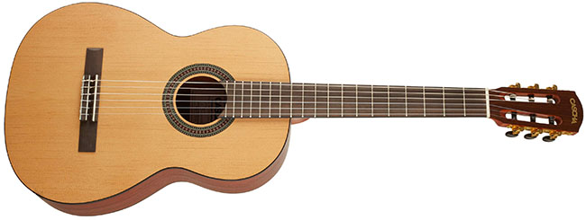 best acoustic electric guitar for beginners