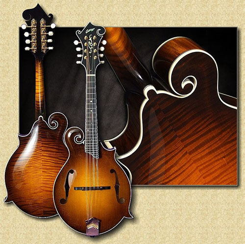 mandolins poster - electric mandolins