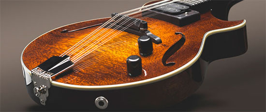 beautiful mandolin
