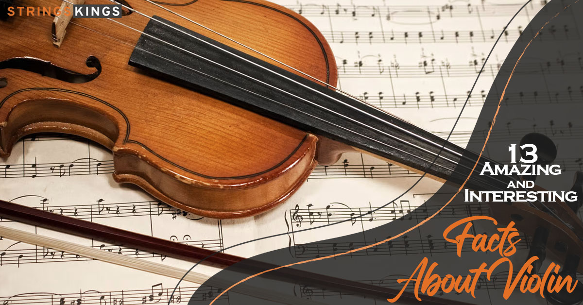 13 Amazing and Interesting Facts About Violin