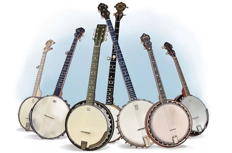 Amazing Fun Facts About Banjo all kinds