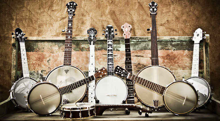 Amazing Fun Facts About Banjo