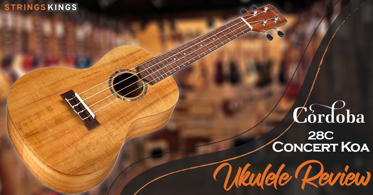 Cordoba 28C Concert Koa Ukulele Review