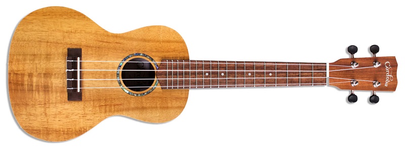 Cordoba 28C Concert Koa Ukulele front