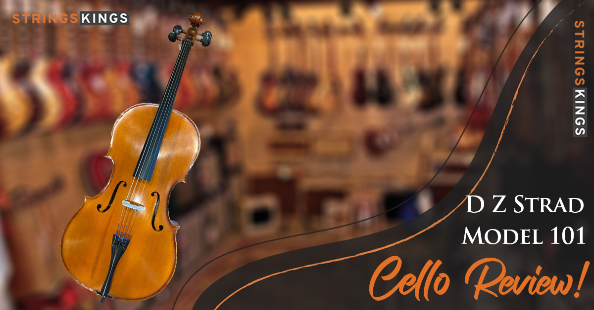 DZ Strad Cello Model 101 Review – Awesome Handmade Cello!