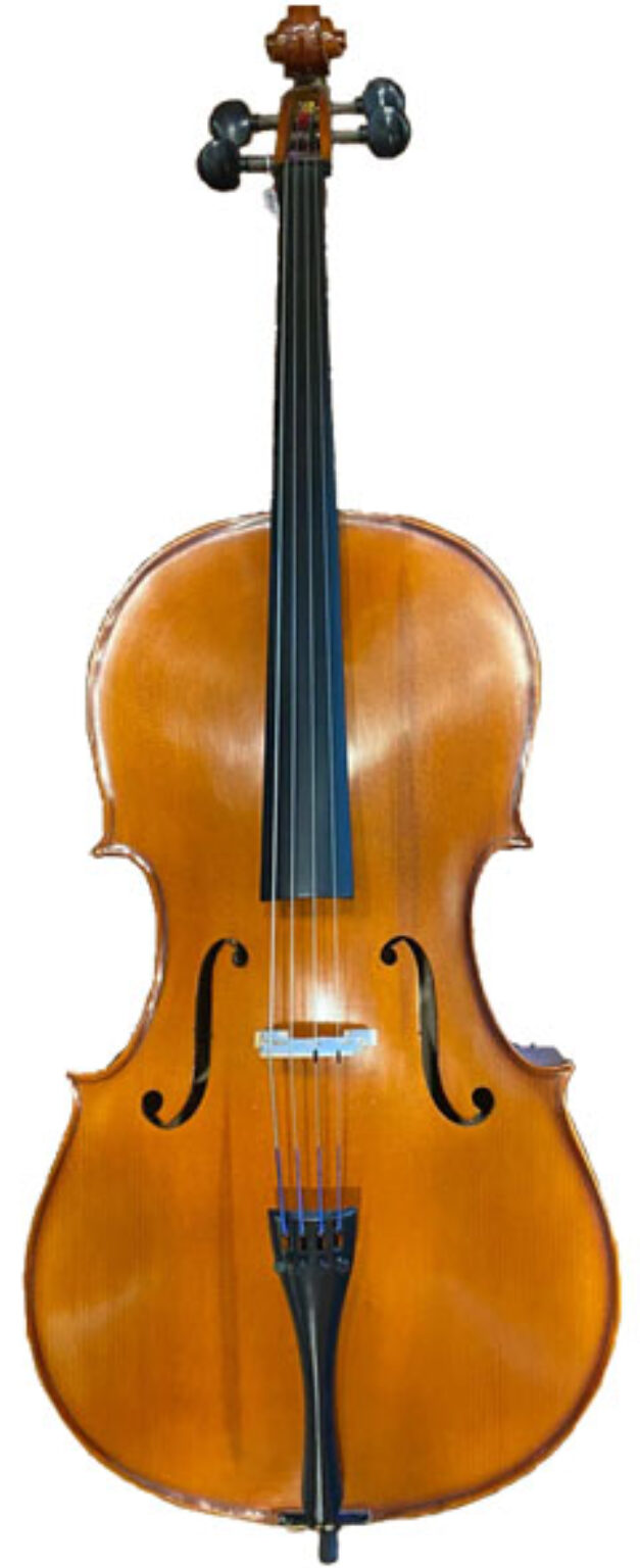 DZ Strad Cello Model 101 Review Awesome Handmade Cello!