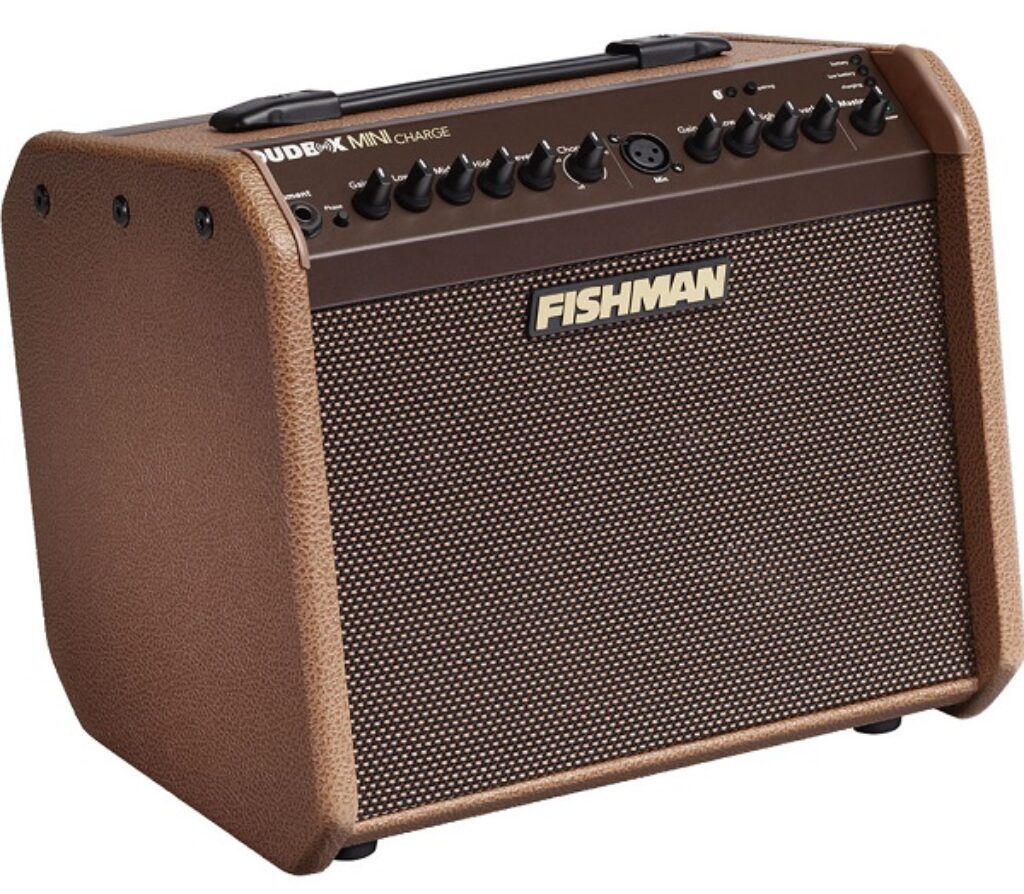 Fishman Loudbox Mini Charge Review