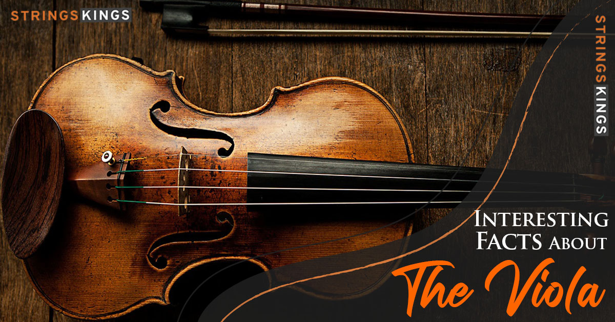 20 Interesting Facts About The Viola You Need To Know!