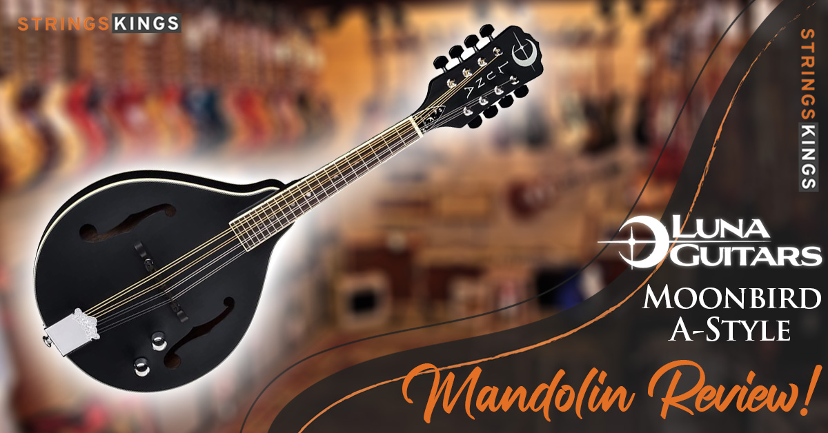 Luna Moonbird Mandolin Review (2023): Best A-Style Model!