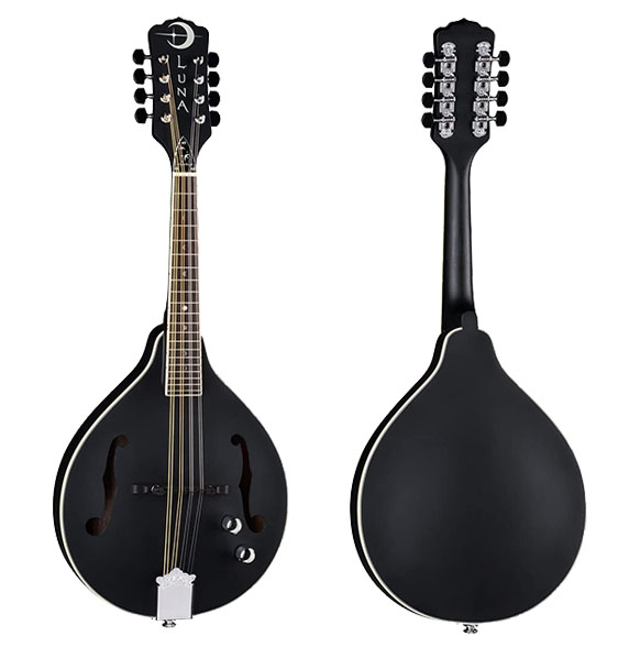 Luna Moonbird Mandolin Review - Picture in the box