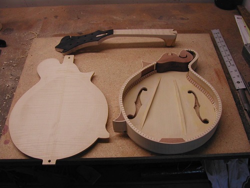 parts of the mandolin