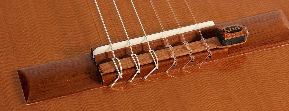 Nylon vs Steel Strings