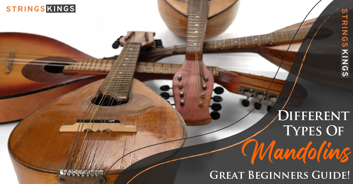 Types Of Mandolins – All You Need To Know, Great 2023 Guide!