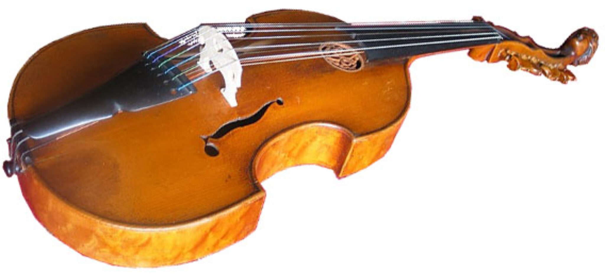 20 Interesting Facts About The Viola You Need To Know!