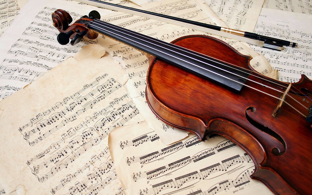 What is Violin - Can Violin Players Play Viola