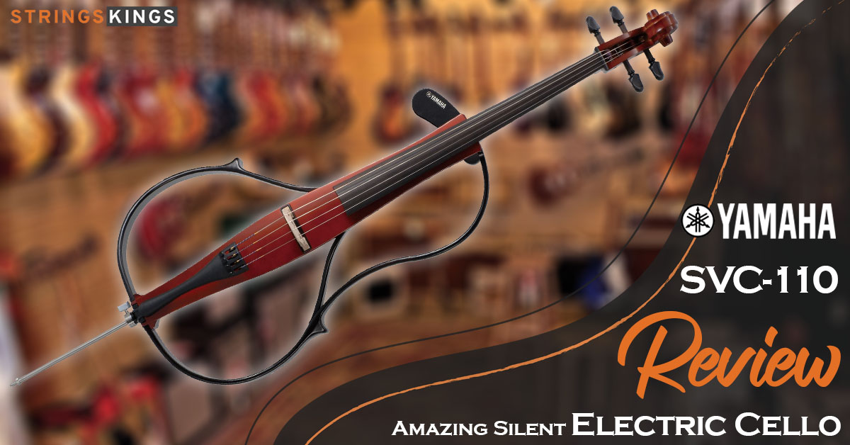 DZ Strad Cello Model 101 Review – Best Handmade Student Cello!