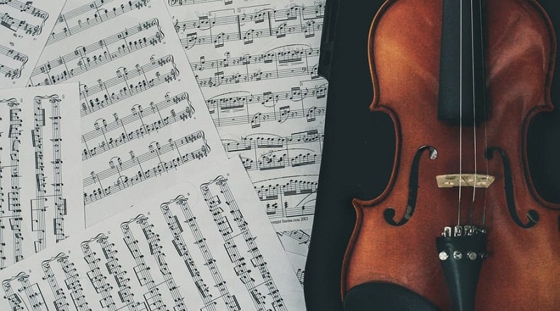 interesting facts about violin
