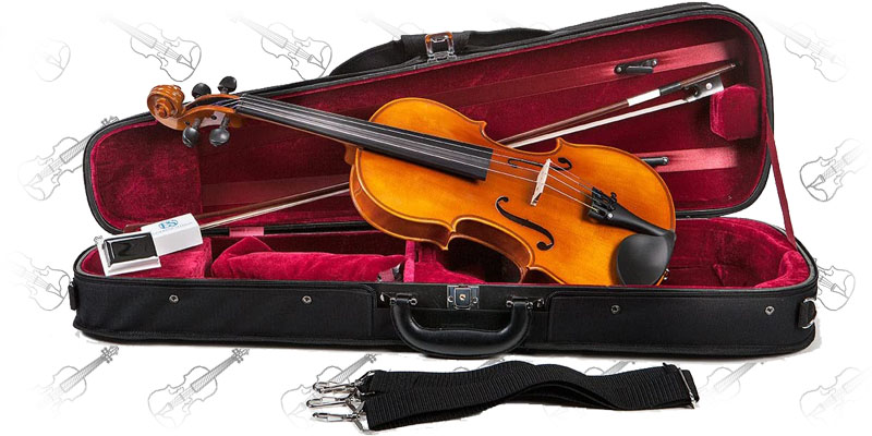 Eastman VL100 Student Violin Outfit