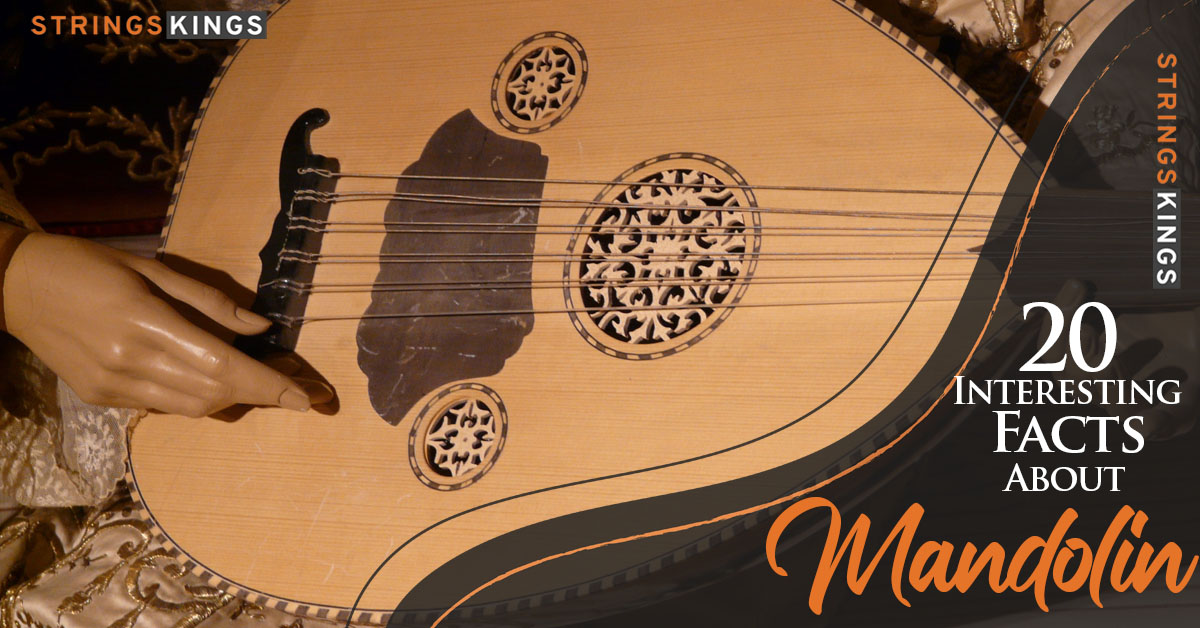 20 Interesting Facts About The Mandolin – Learn More!