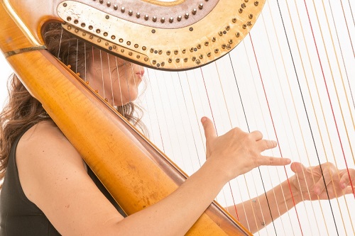 playing on a harp
