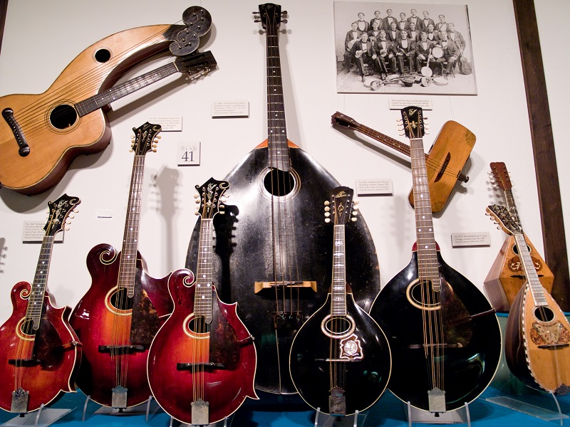 Mandolins family