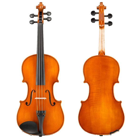 Samuel Eastman VL100 Violin Review - Picture in the box