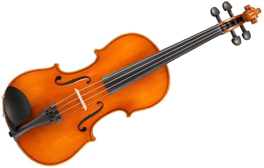 Samuel Eastman VL100 Violin - The instrument