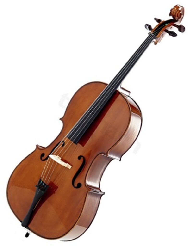 Stentor SR1102 Cello Student I 4/4 Review
