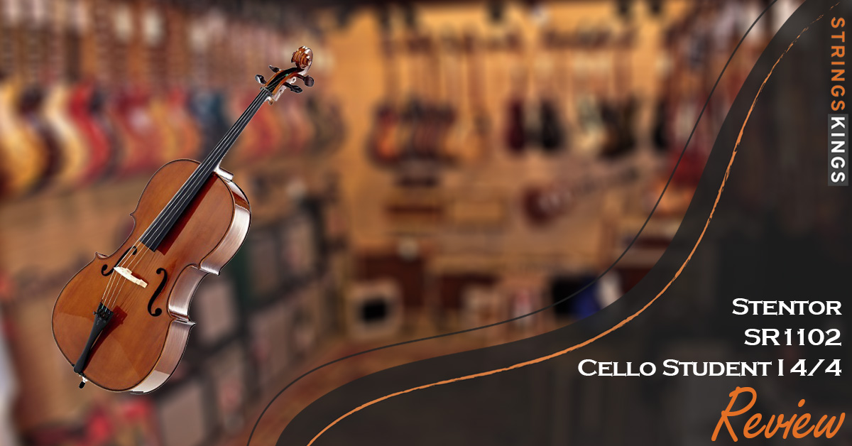 Stentor SR1102 Cello Student I 4/4 Review Feat