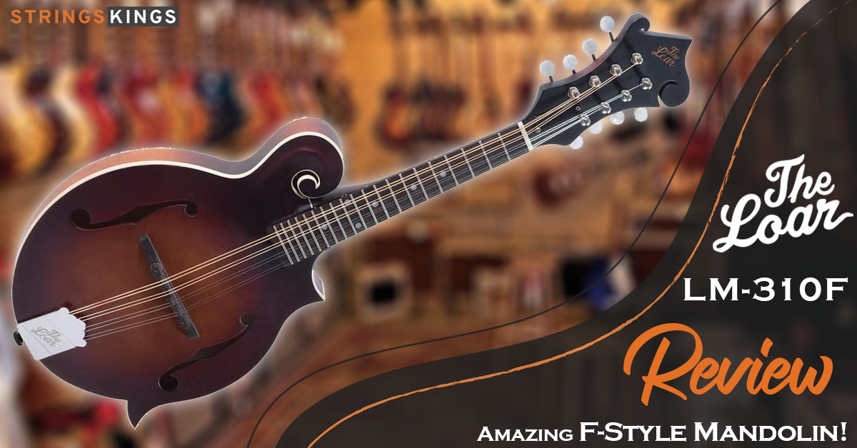 The Loar LM 310F Review Amazing F-Style Mandolin