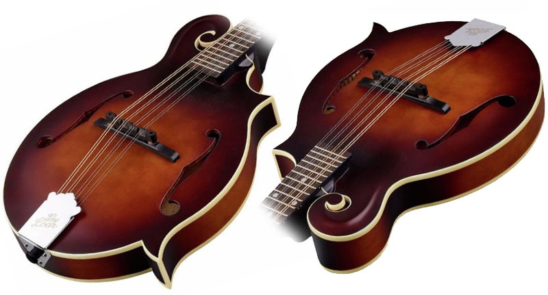 The Loar LM 310F Review details body