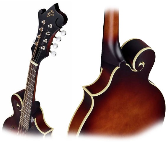 The Loar LM 310F Review details body